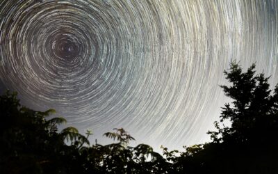 Harmony of cycles and inner growth