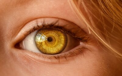 To discern – key of the spiritual evolution