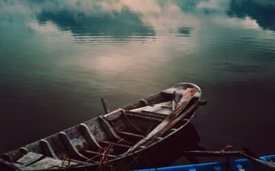 The ark of consciousness