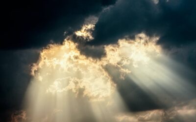 The right relationship with matter