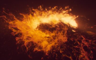 The Higher Purpose of Crisis: Revelations and Choices