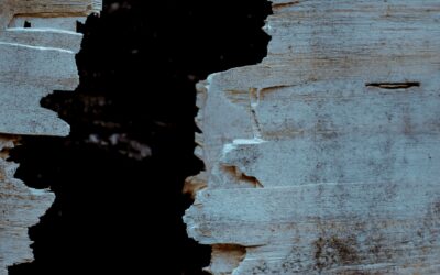 Between two cycles: convergence of crises