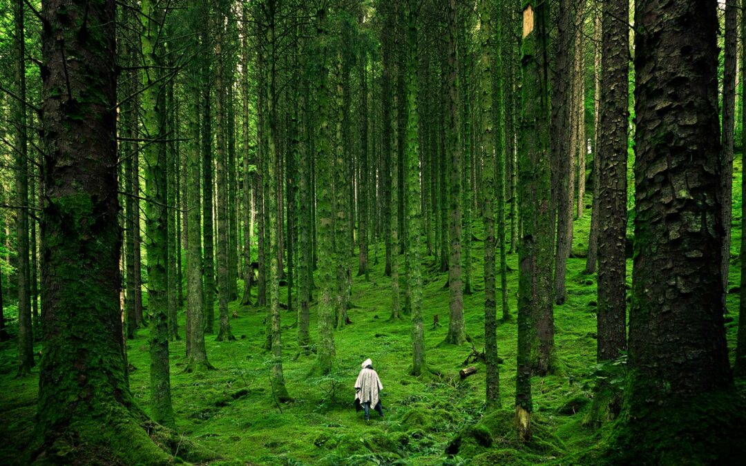 Les 2 approches de la nature et du divin