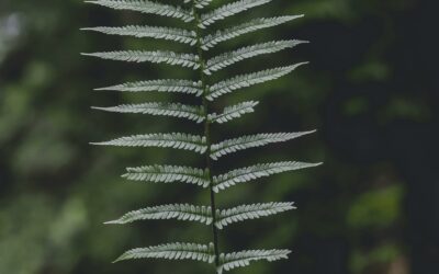 Perceiving the invisible in the visible