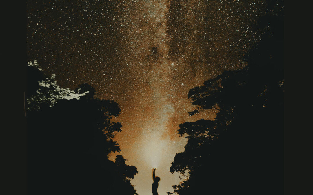 Parution du livre : la résilience verticale