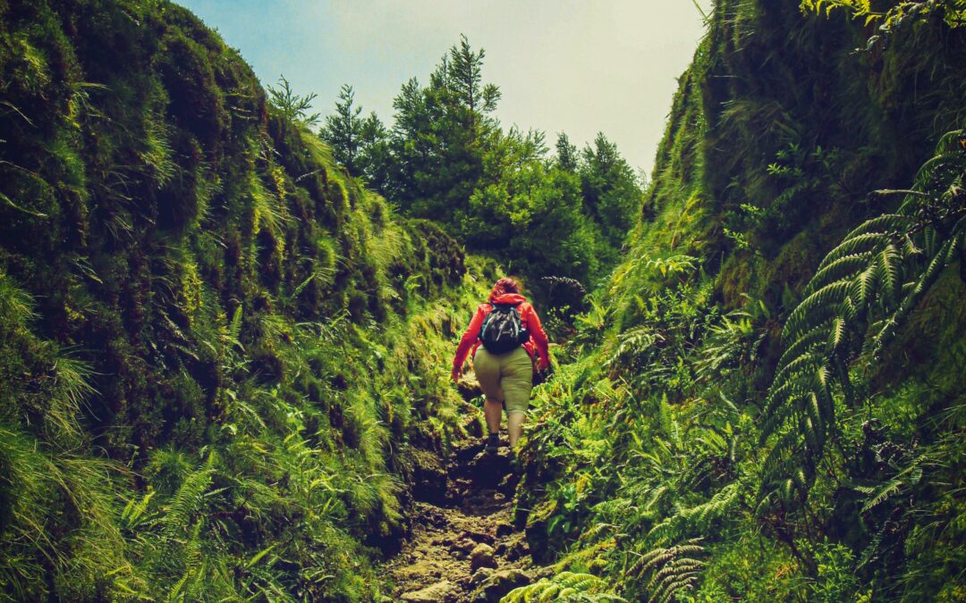 The releases and the doubts of the individual path