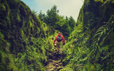 The releases and the doubts of the individual path