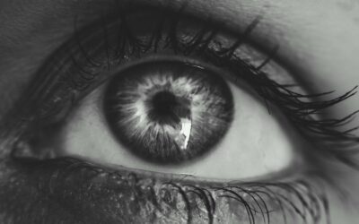 La protection et la résilience par la connaissance