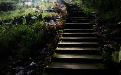 The 7 steps of the spiritual development