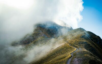 The highway of the system VS the path of the soul