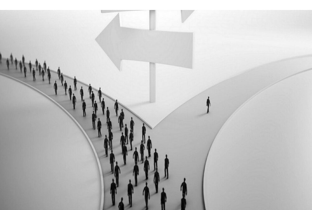 Publication du livre « Le chemin de vie : autoroute ou sentier ? »